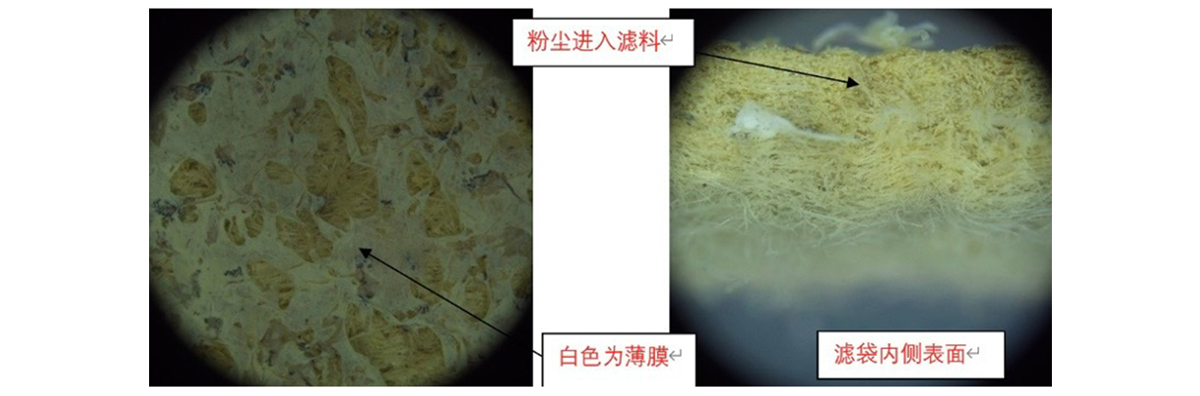 戈爾技術團隊在顯微鏡下觀察之前的濾膜表面及濾袋截面發現已有鋰電材料粉塵進入情況